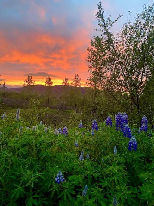 Luxury Cottage Located In The Golden Circle, Mountain View! Laugarvatn Eksteriør bilde
